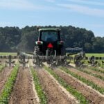 Featured image for “Youngkin announces $610,350 in Specialty Crop Block Grants”