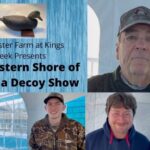 SHORE PERSPECTIVES: History, Tradition and Evolution converge at Eastern Shore of Virginia Decoy Show