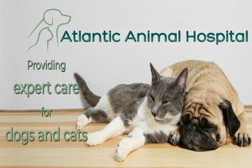 Atlantic Animal Hospital