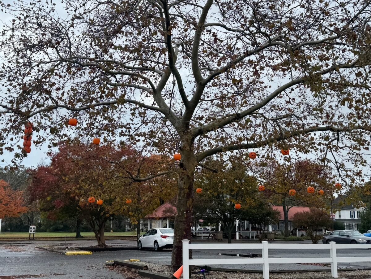 Parksley Halloween Tree