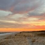 Featured image for “Cool things happening Thanksgiving Day”